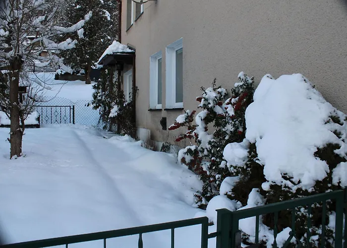 Am Muehlbach Apartment Klingenthal