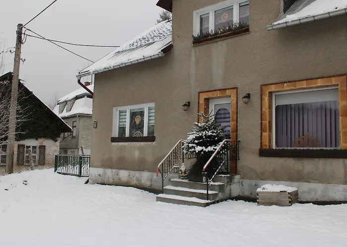 Am Muehlbach Apartment Klingenthal